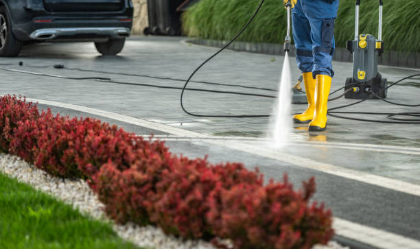 Best Residential Pressure Washing Services  in Roseburg, OR