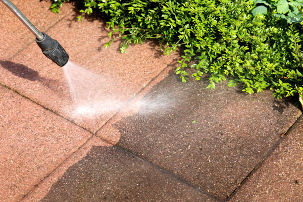 Best Pressure Washing Company Near Me  in Roseburg, OR